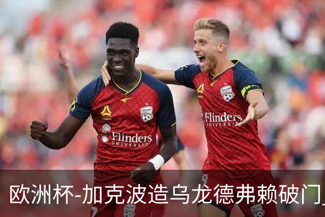 欧洲杯-加克波造乌龙德弗赖破门 荷兰2-1土耳其